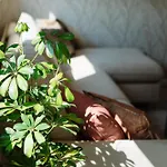 Apartman Lena Luxury *