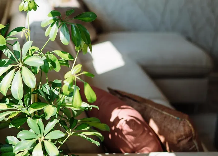 Апартаменты Lena Luxury *